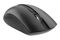 Mouse 2E MF217, WL, black