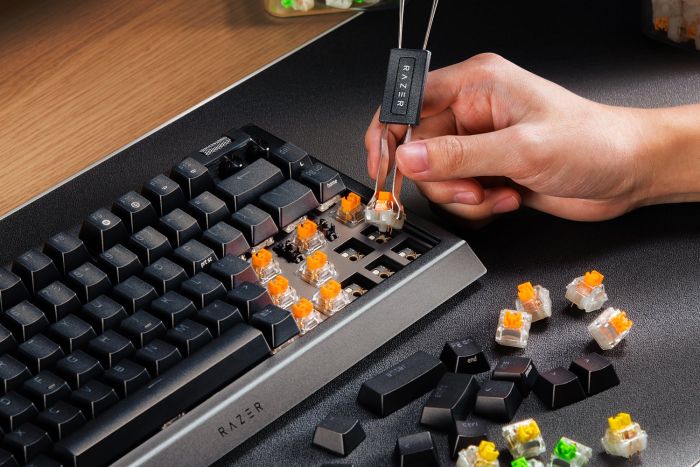 Клавіатура механічна Razer BlackWidow V4 75% 83key Mechanical Tactile Switch GEN-3, USB-A, EN, RGB, чорний