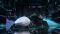 ASUS Mouse ROG Keris II Ace, RGB, USB-A/WL/BT, black