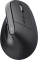 Миша Trust Bayo + Ergonomic, BT/WL/USB-A, чорний