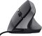 Мышь Trust Bayo 2 Ergonomic, USB-A, черный
