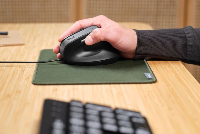 Мышь Trust Bayo 2 Ergonomic, USB-A, черный