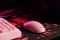 2E GAMING Mouse MG355 WL, USB-A/WL, pink