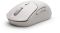 Миша HP 400 Quiet, WL/BT, maple