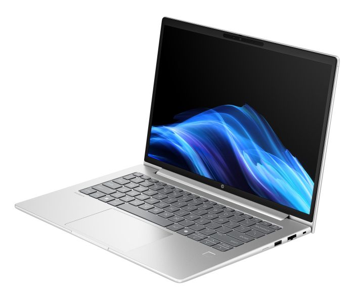 Ноутбук HP Probook 4-G1a 14" WUXGA IPS, AMD R7-250, 24GB, F1TB, UMA, Win11P, серебристый