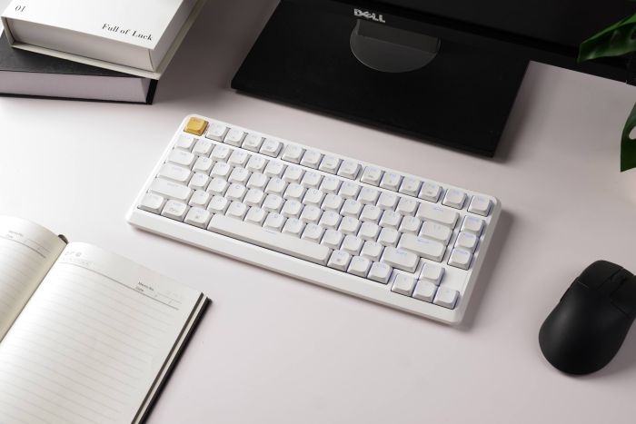 Клавиатура механическая Keychron J1 82Key, K pro Red, WL/BT/USB-A, QMK, Hot-swap, EN/UKR, RGB, белый