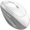 Genius Mice Ergo 8350S, Silent, AI, WL/BT, white-grey